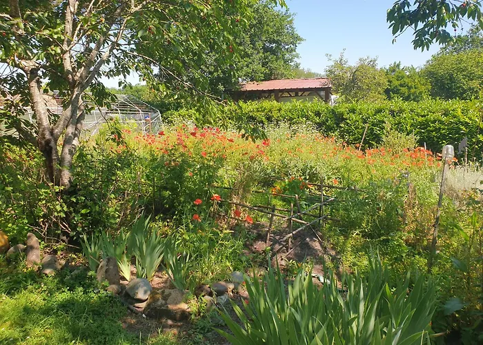 L'Ermitage au sein d'un jardin forêt près de l'océan