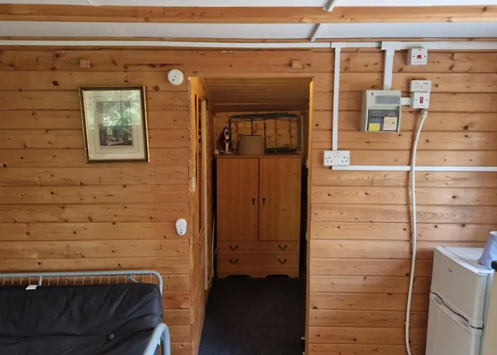 The Cabin - This Is Not The Ritz But It Is Better Than Camping I Have Whippets And Greyhounds