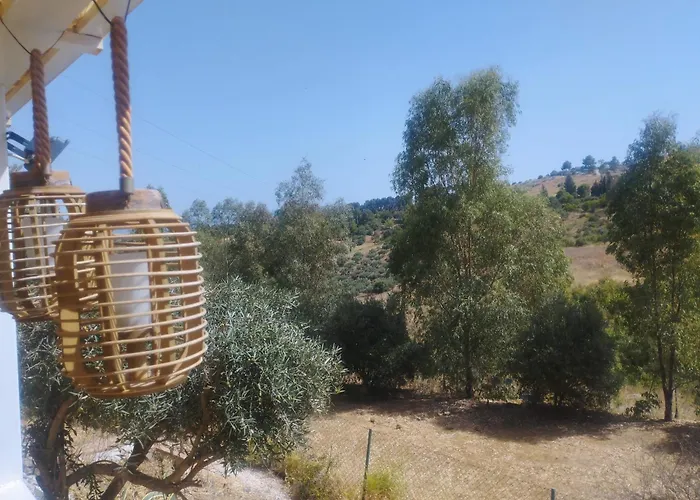 The Hillside Lodge