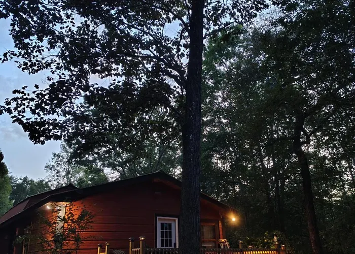 Campfire Vibes At Tncabin230