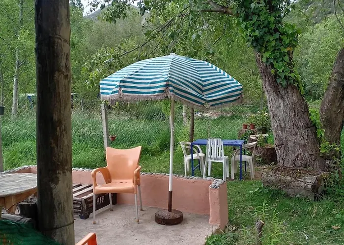 Wadi Vibes Camp