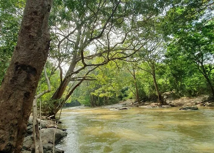 Naiad Eco Okkampitiya