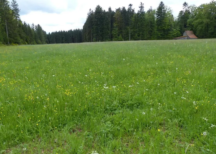 Camping-Erbenwald