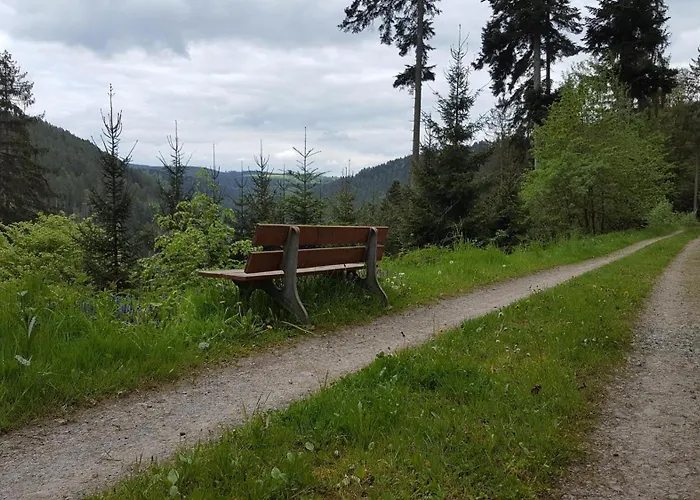 Camping-Erbenwald