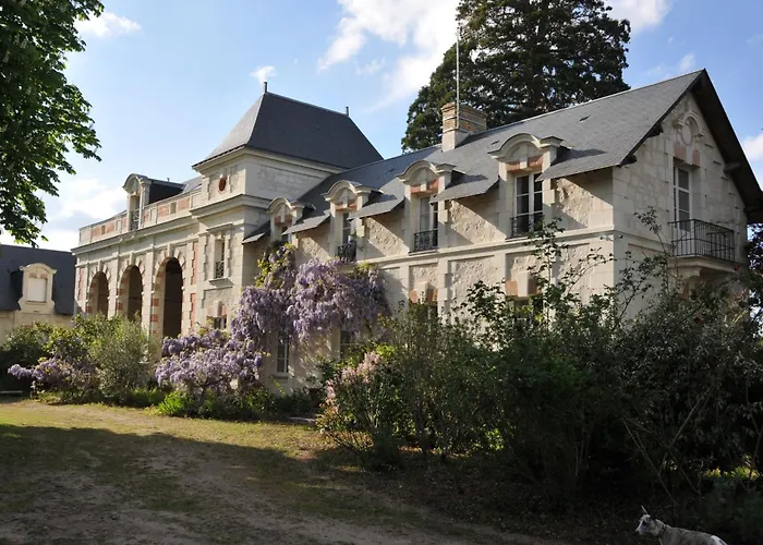 EMPLACEMENT BUCOLIQUE DE CAMPING dans le parc du château - Attention tente et matériels non fournis et sans possibilité de faire courir une rallonge pour se raccorder à l'électricité