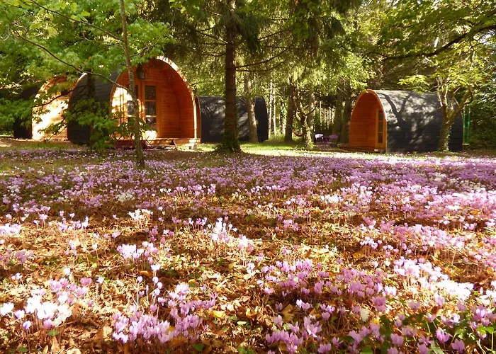 La Rossignolerie - POD Cabanes des châteaux