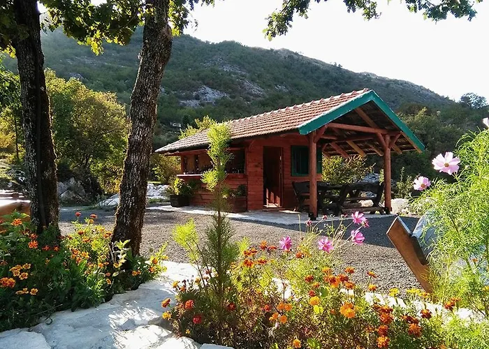 Camp Oaza, Lipa