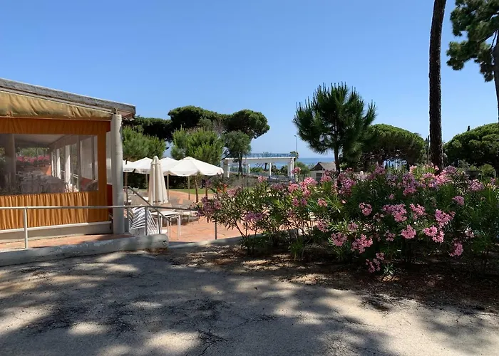 Camping La Buganvilla