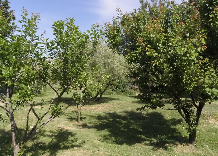 Provence Roulottes