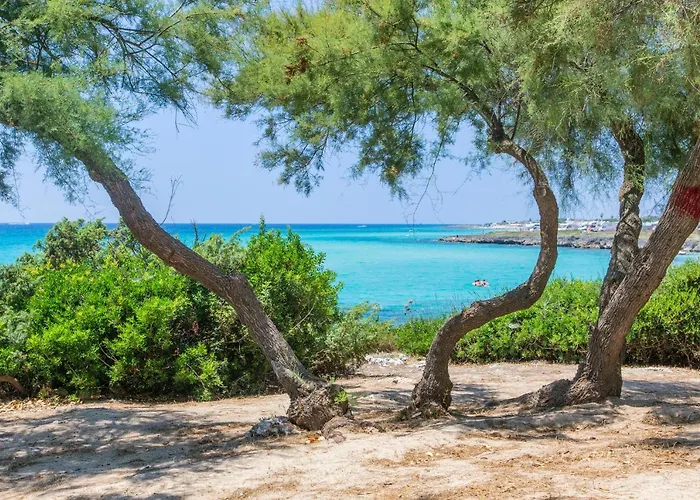 Camping Torre Castiglione